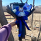 blue graduation bouquet 
